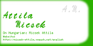 attila micsek business card